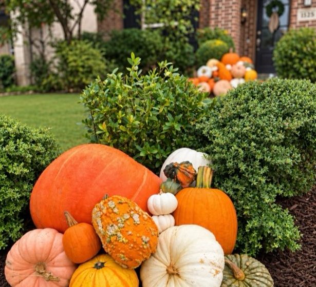 Heirloom pumpkins styled in a garden bed in front of a brick porch