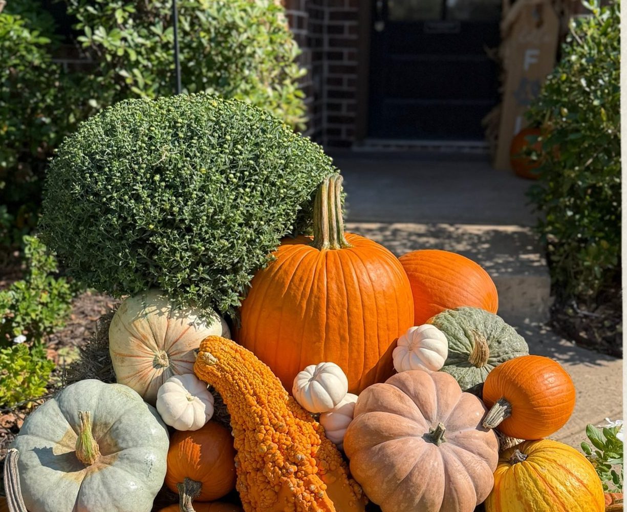 A styled pile of heirloom pumpkins, gourds and mums